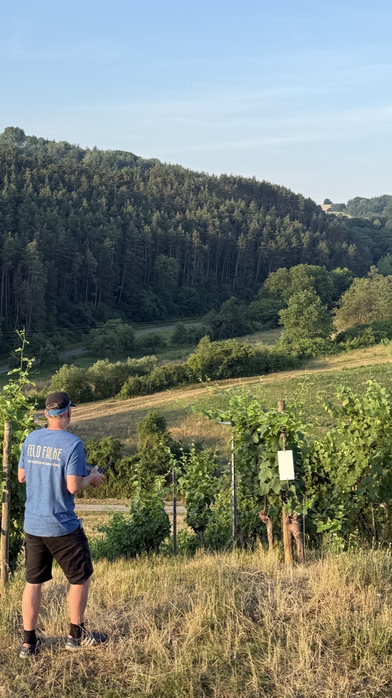Viticulture with drone