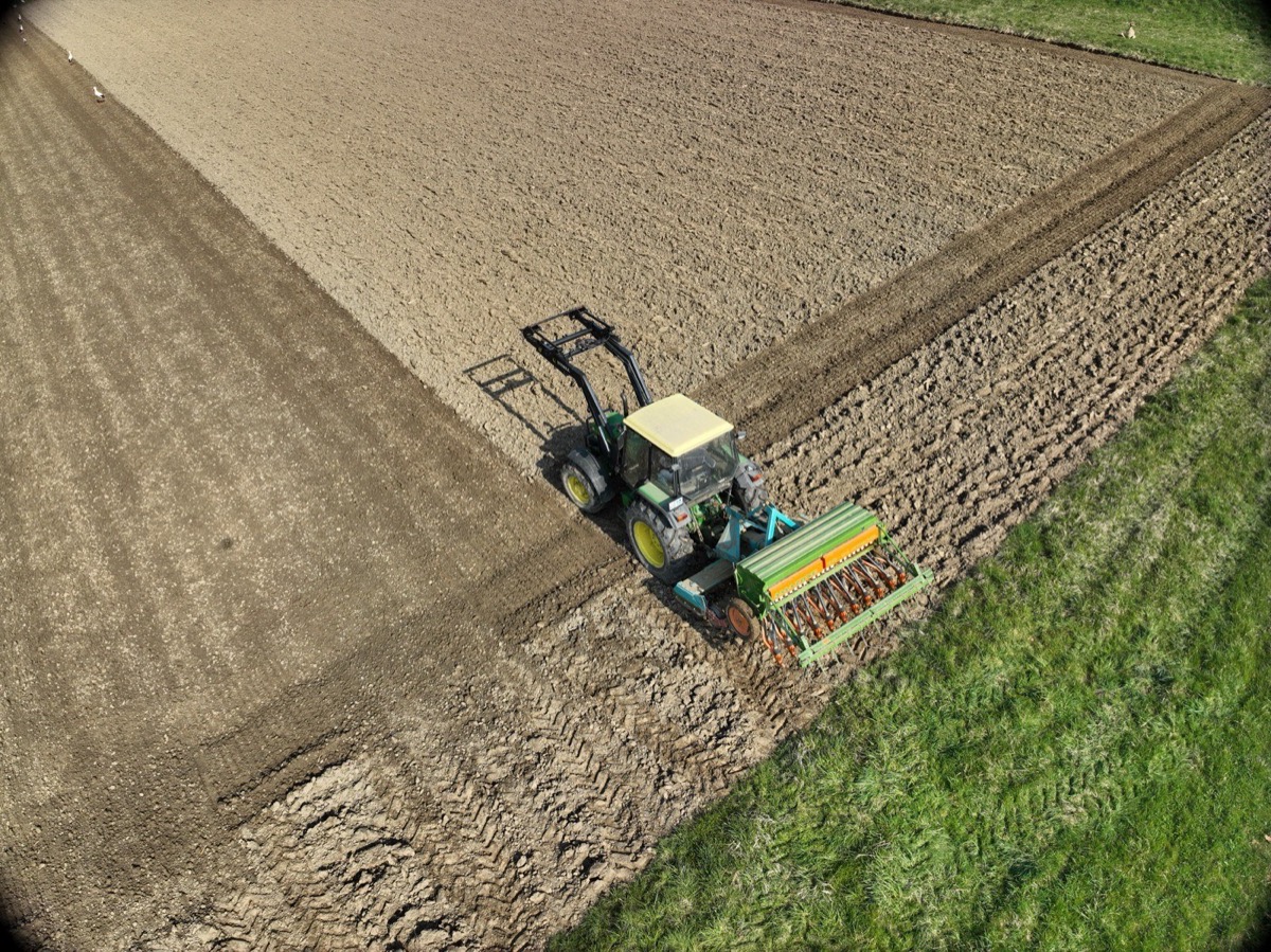 Seeding cover crops by drone